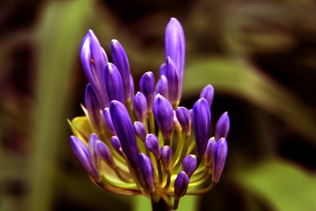 曼城24次对德国球队仅输1场，且23场主场小组赛／联赛阶段不败