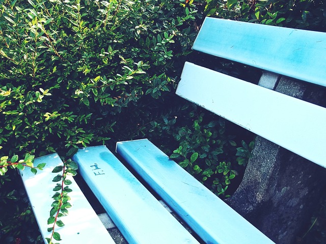 六台：如果皇马输给阿拉维斯，阿隆索会立刻被解雇