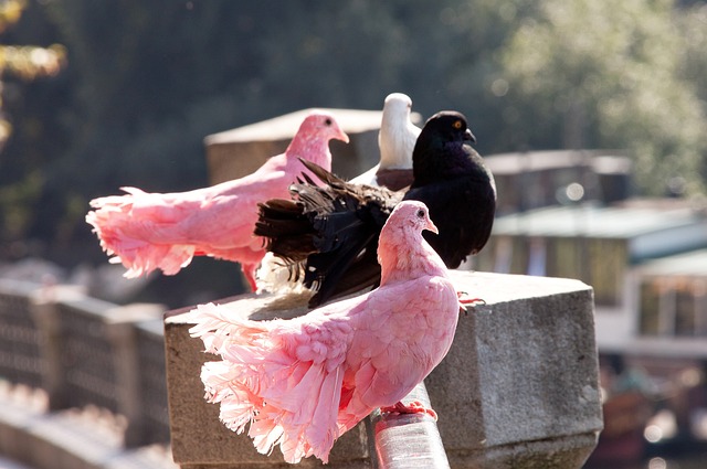 萨内谈离开拜仁原因：不全是因为钱，加拉塔萨雷的目标很远大